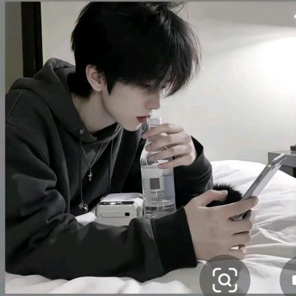 毛茸茸狮子座