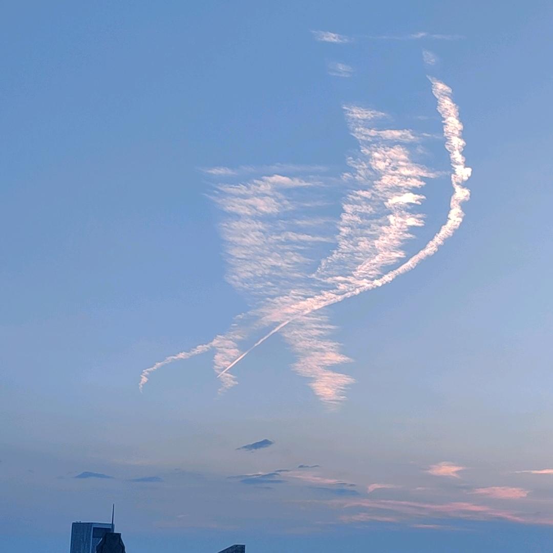 小高