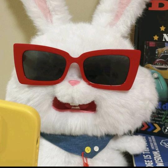 安小安