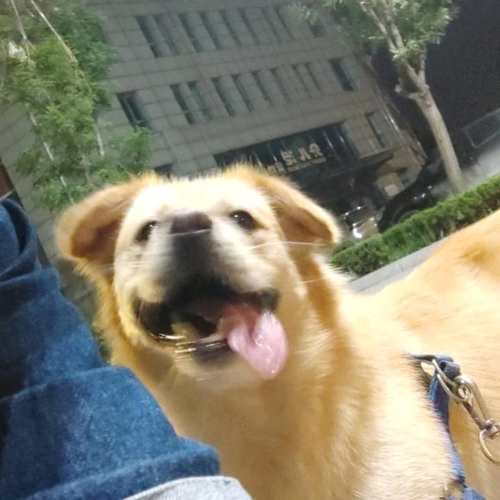 开心的草莓儿