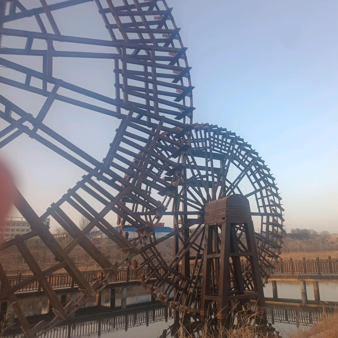 面粉管理大师，奇哥