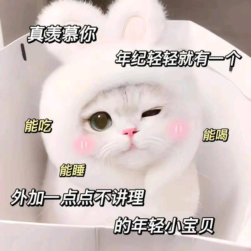 爱数字油画的墨墨