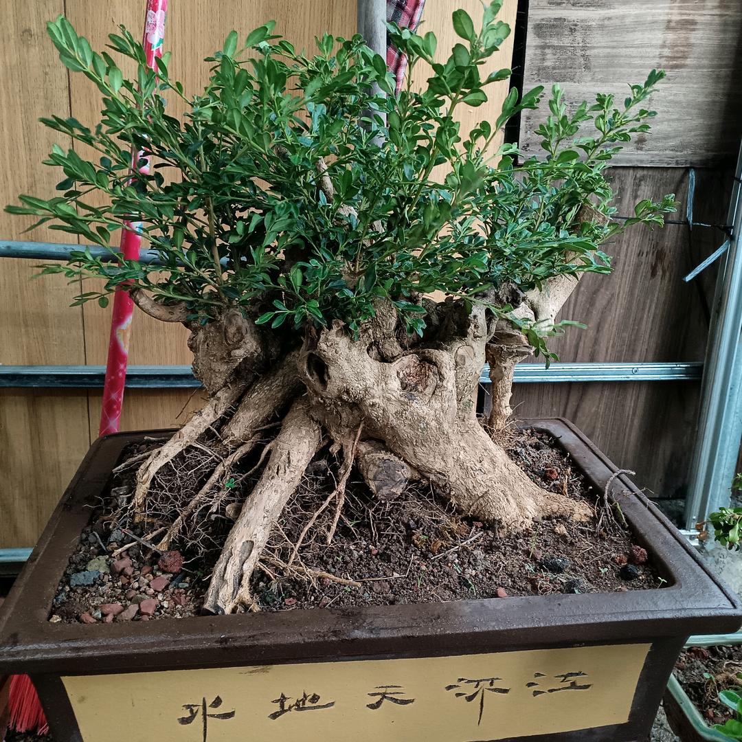 嘉鑫园艺
