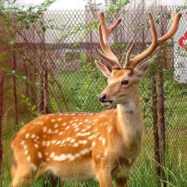 茸康滋补养生专营店8号