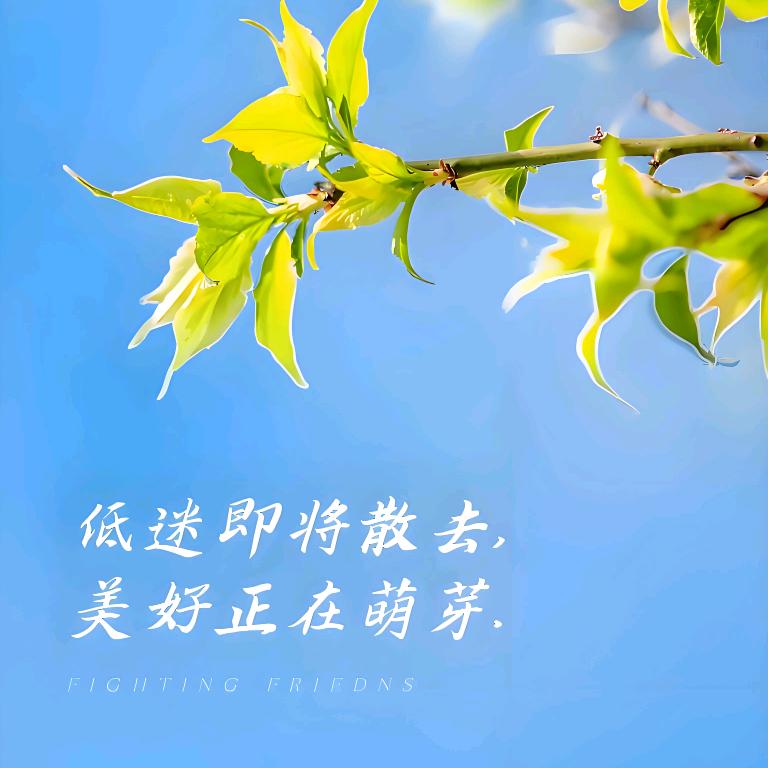 微笑向暖