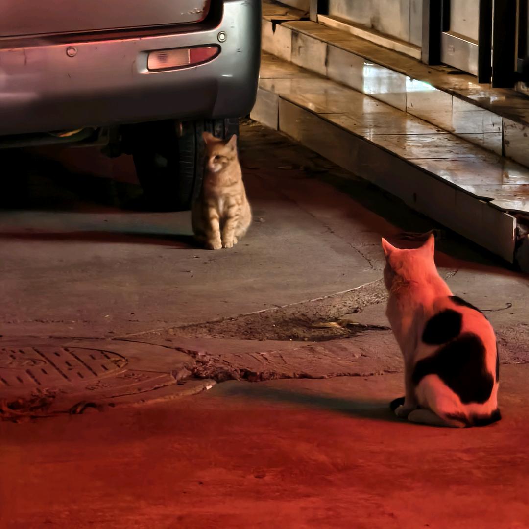 老玩家网络技术～抗揍