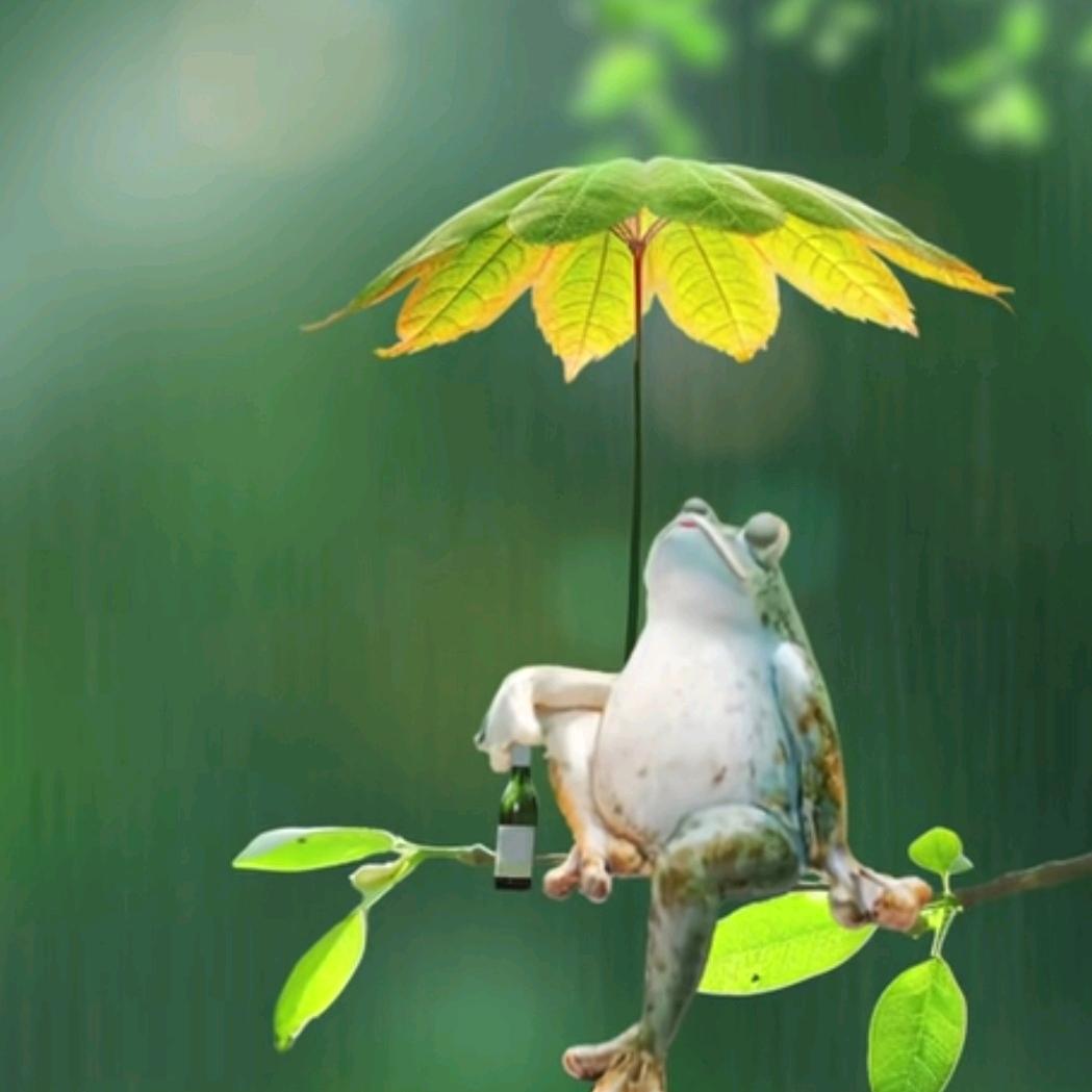 走在致富的路上