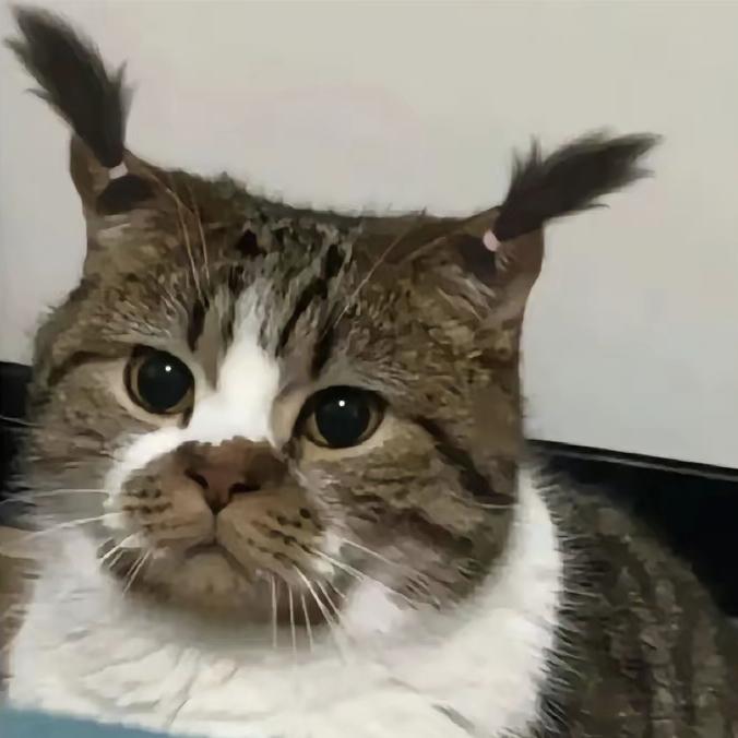 猛踹瘸子那条好腿