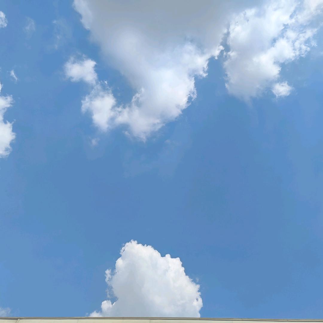 ZR浩