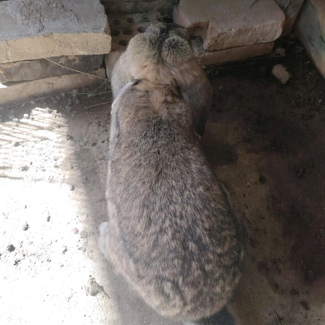 ල᭄想你每天ℒᎭℯ⃟一天