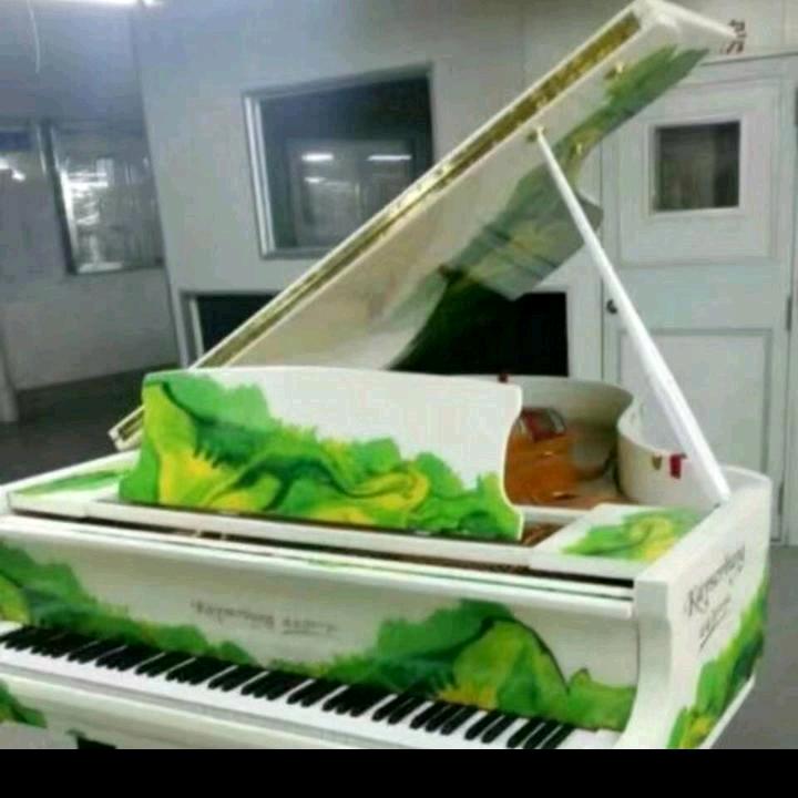 自由飞翔 广东韶关