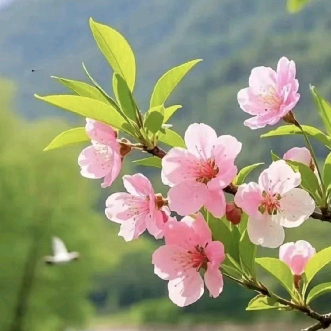 幸运相随，一生有你