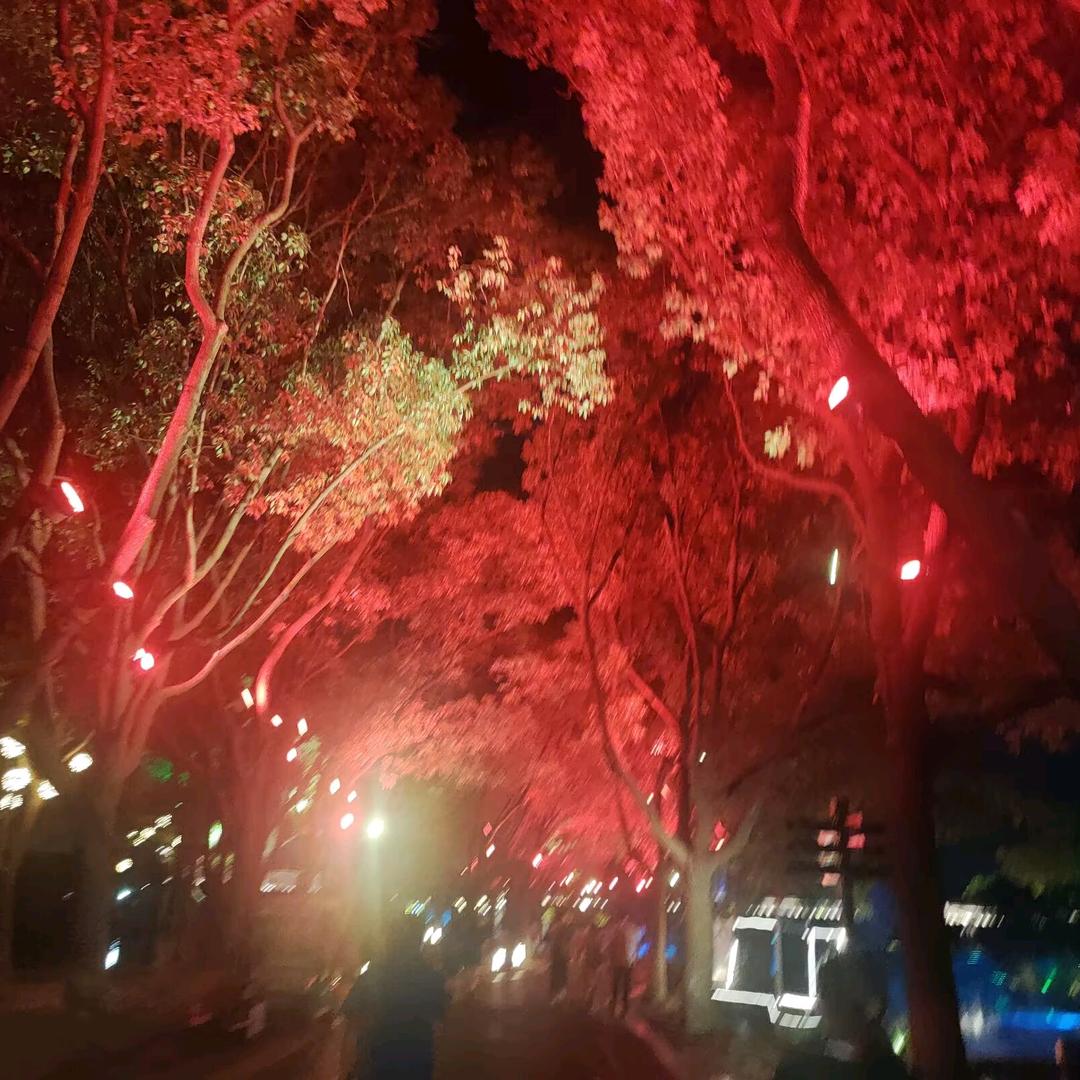 彼岸花