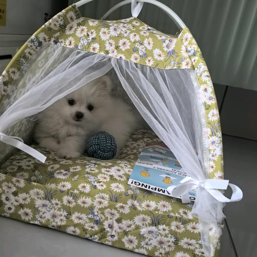 妞妞和 十七 的快乐时光