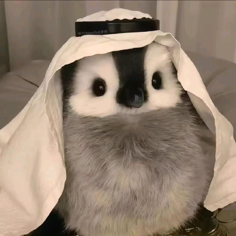 小饒