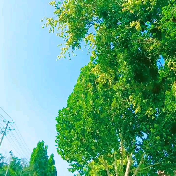 张姐0123