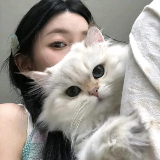 又困ˡᵃ💤