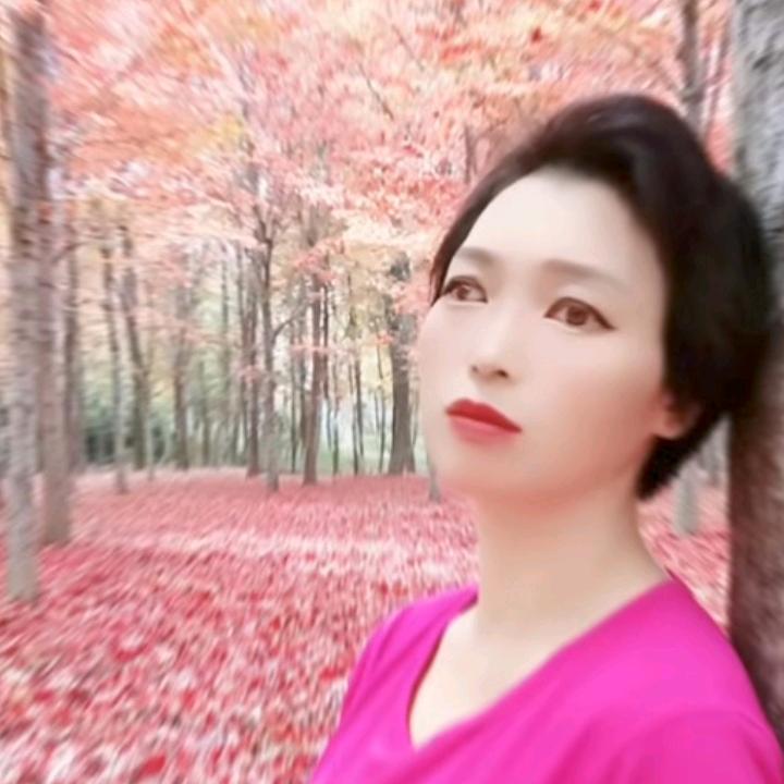 丹丹