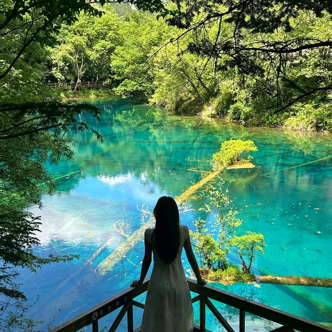 小涵爱旅行