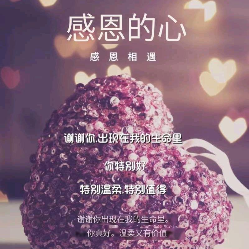 ღ᭄ꦿ岁月静好ღ࿐