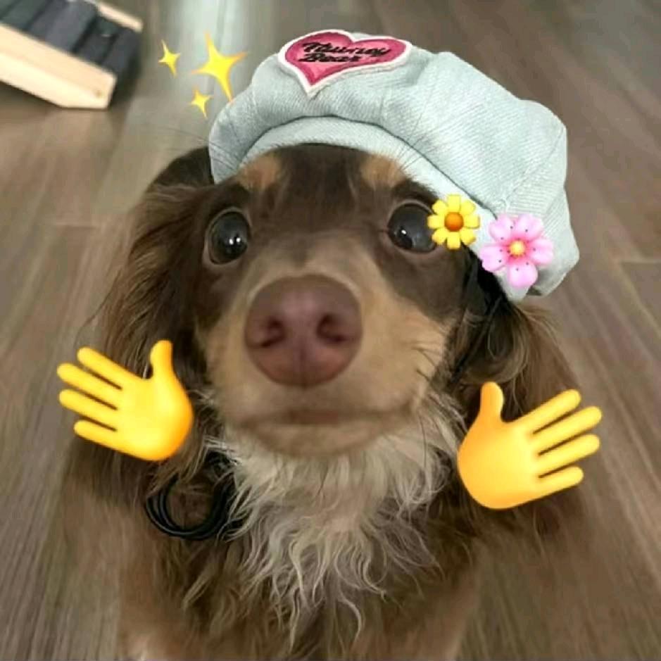 Z_zzzzzzn🦄