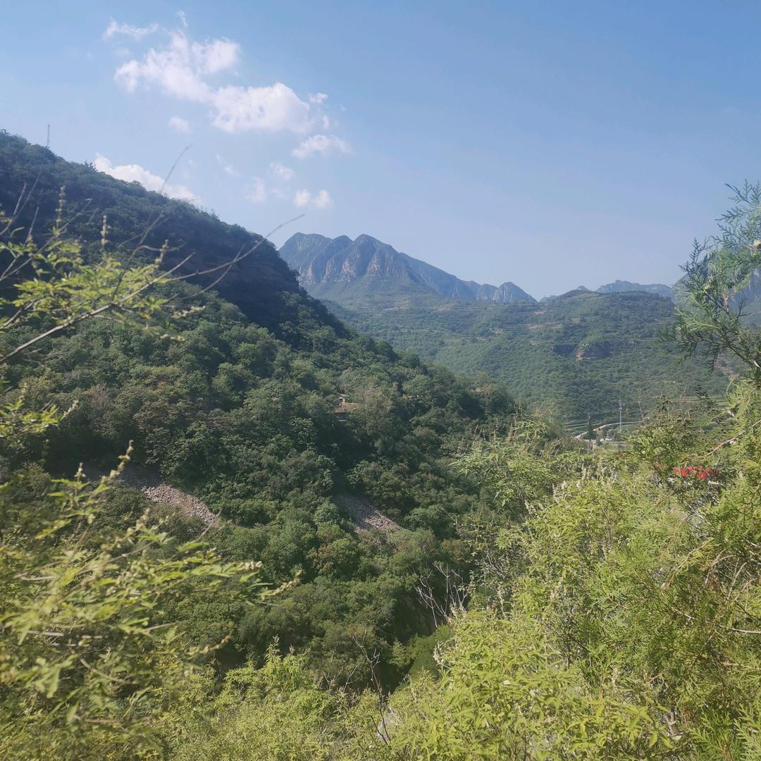 为莉❤️而活