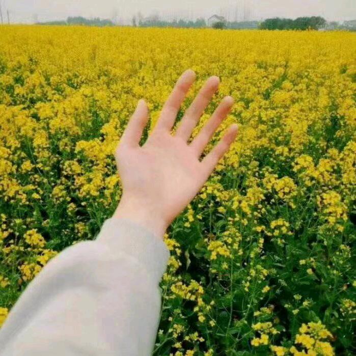 一生仅有的执着
