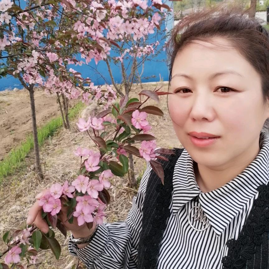 云朵寿司