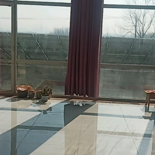 🌷🌷💐陪🌹🌺伴👫👫👏💐