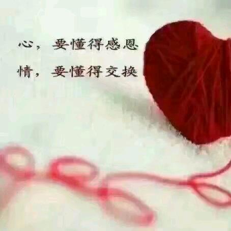 ……^_^随^_^^_^缘^_^……