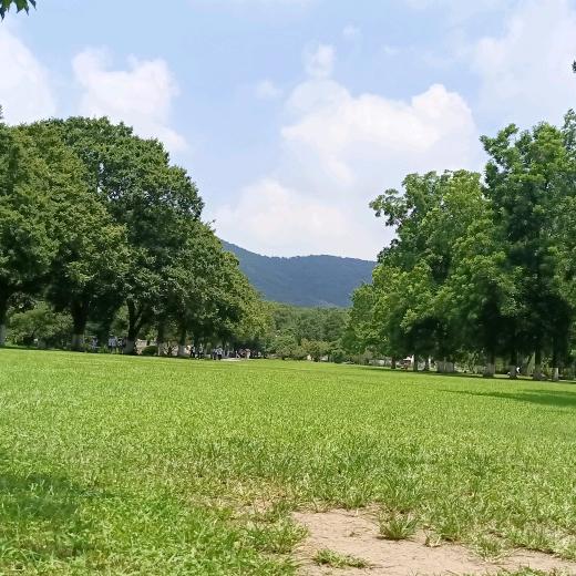 戈雅啊