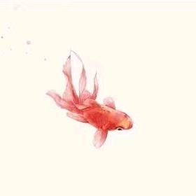 不會·游泳の魚