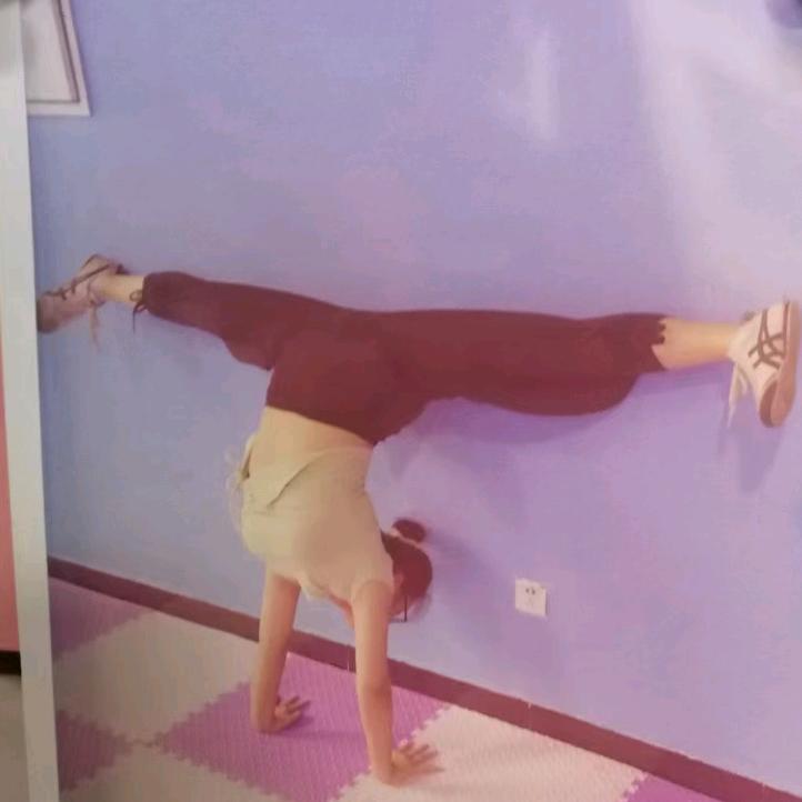 金宝贝