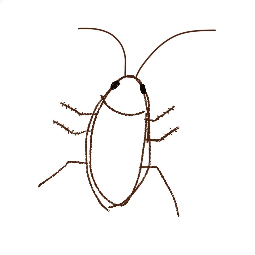 青椒