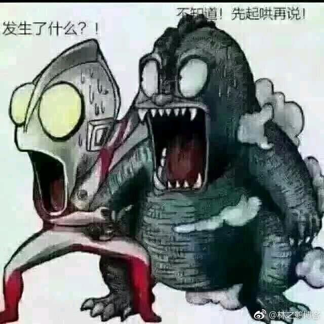 风起丶