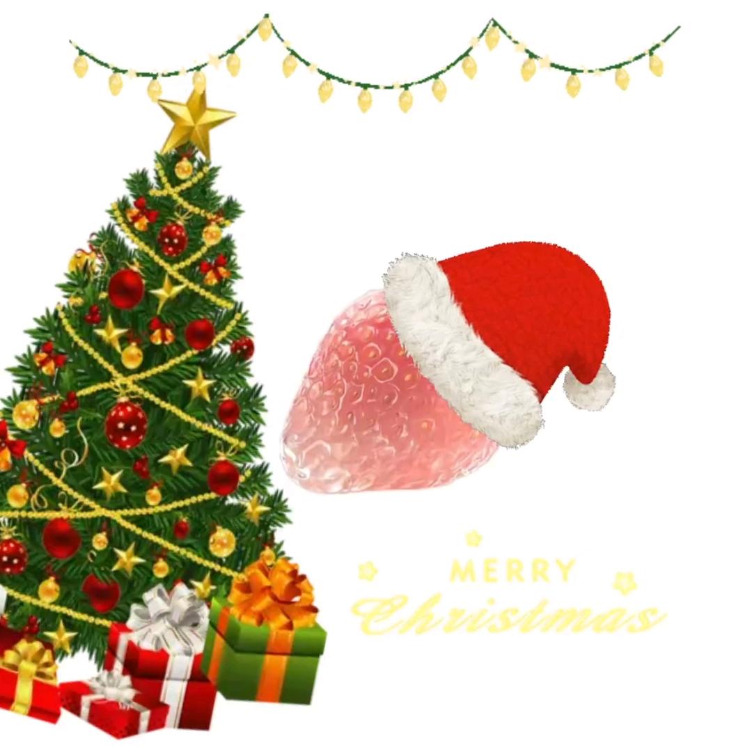 🎄^judy¹⁰⁰¹庆（冲1500）