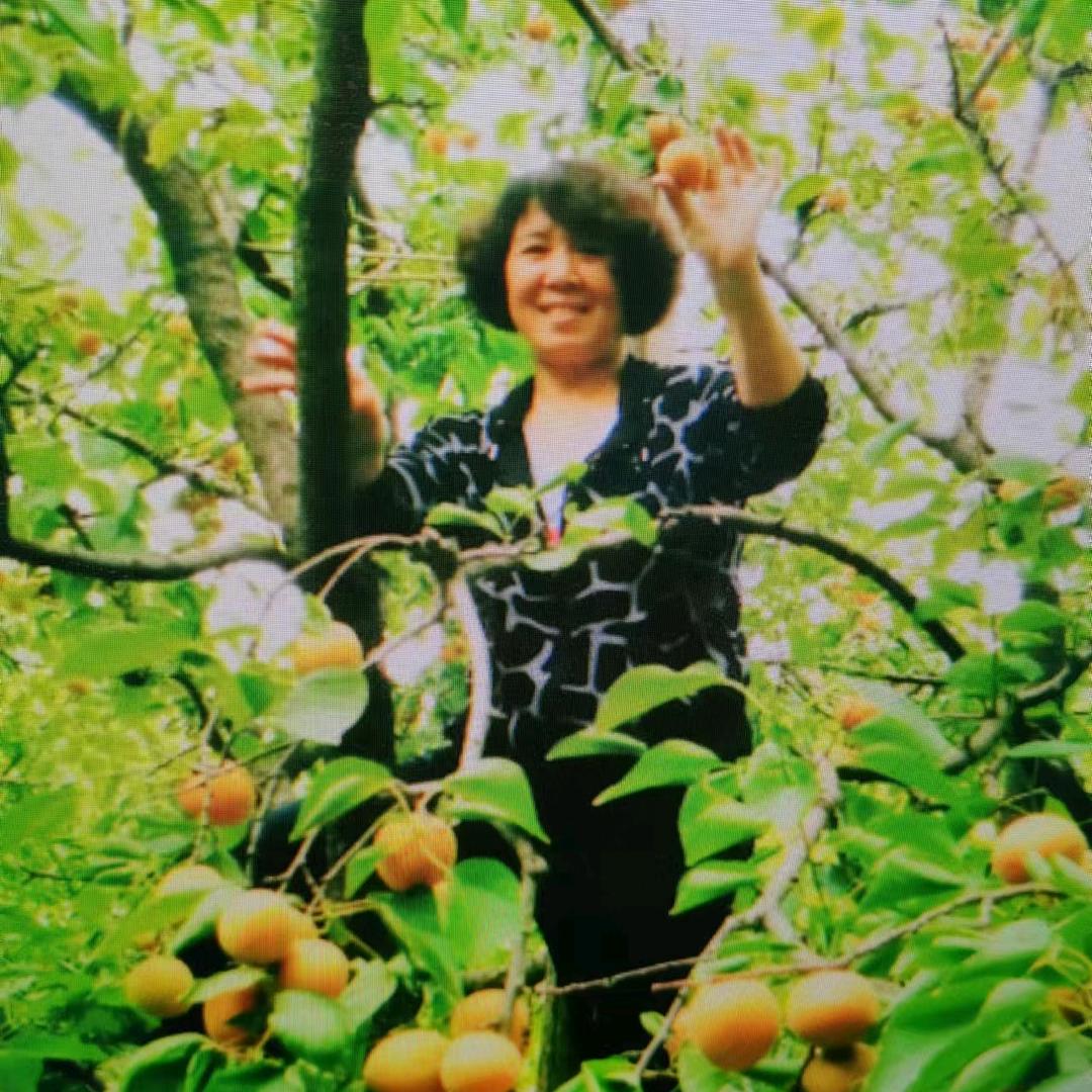 花香姐