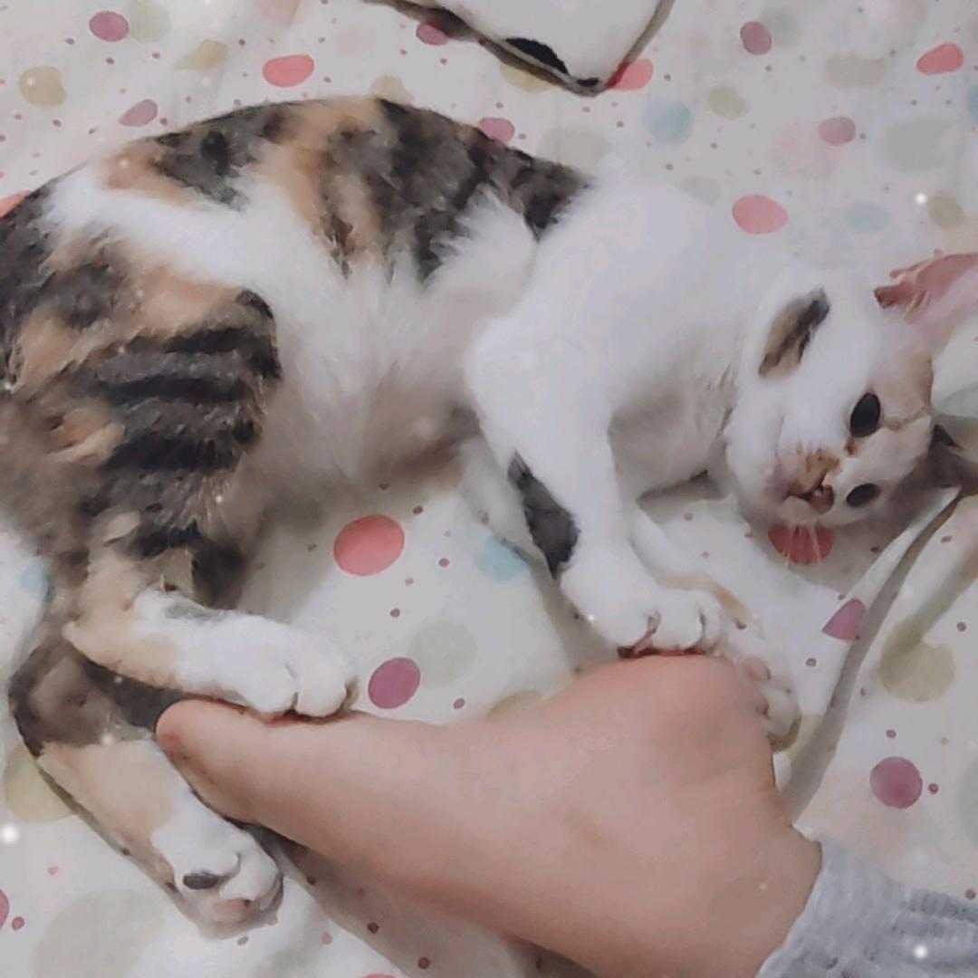 (红尘相伴)