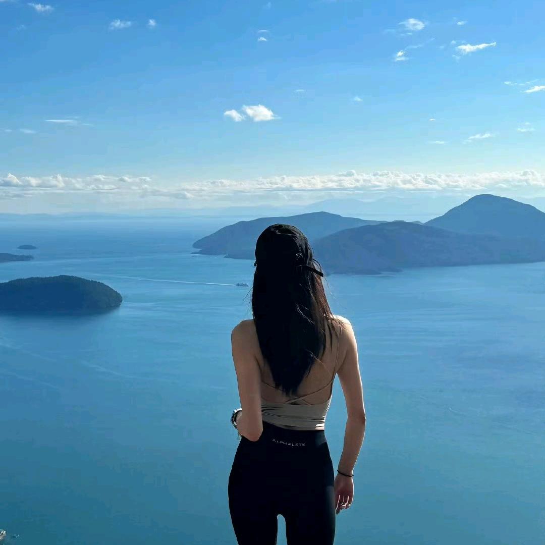 小鹿乱撞