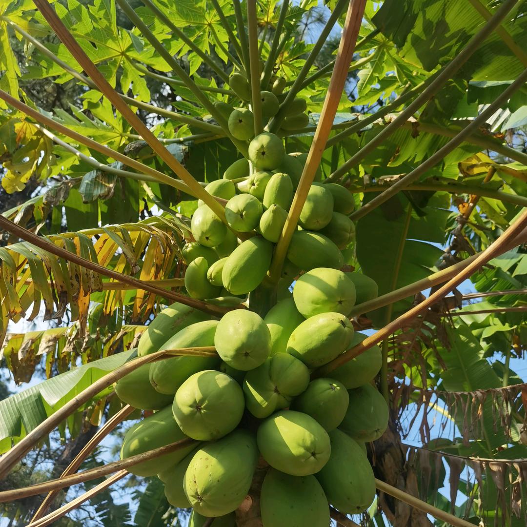 记录美好🌸🌸