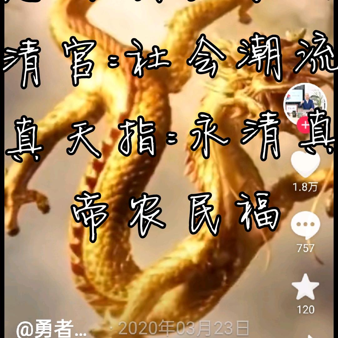 凤凰背尚