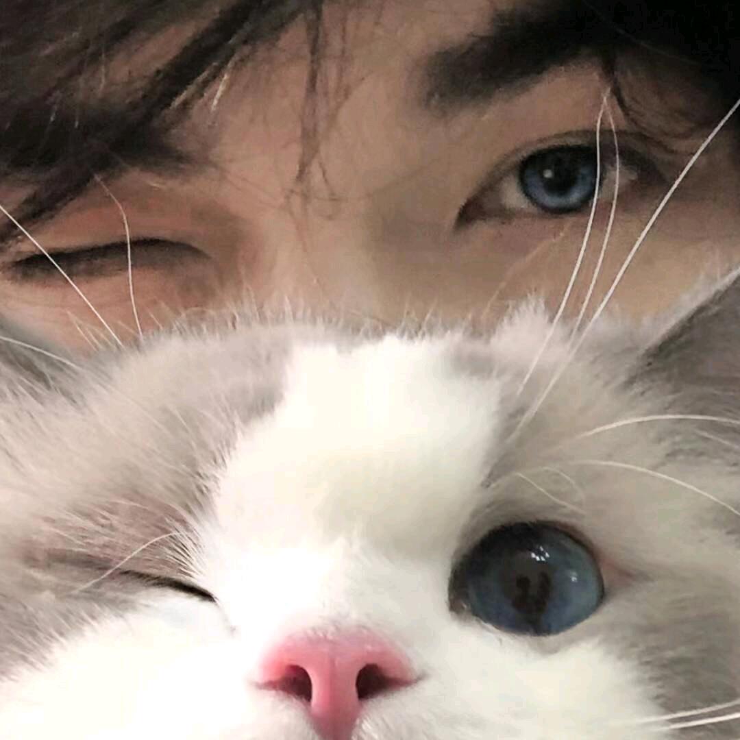 零玖