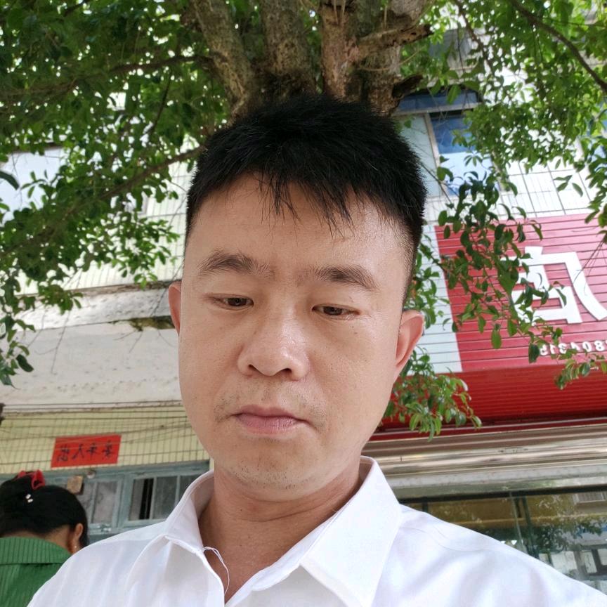 环江小杨