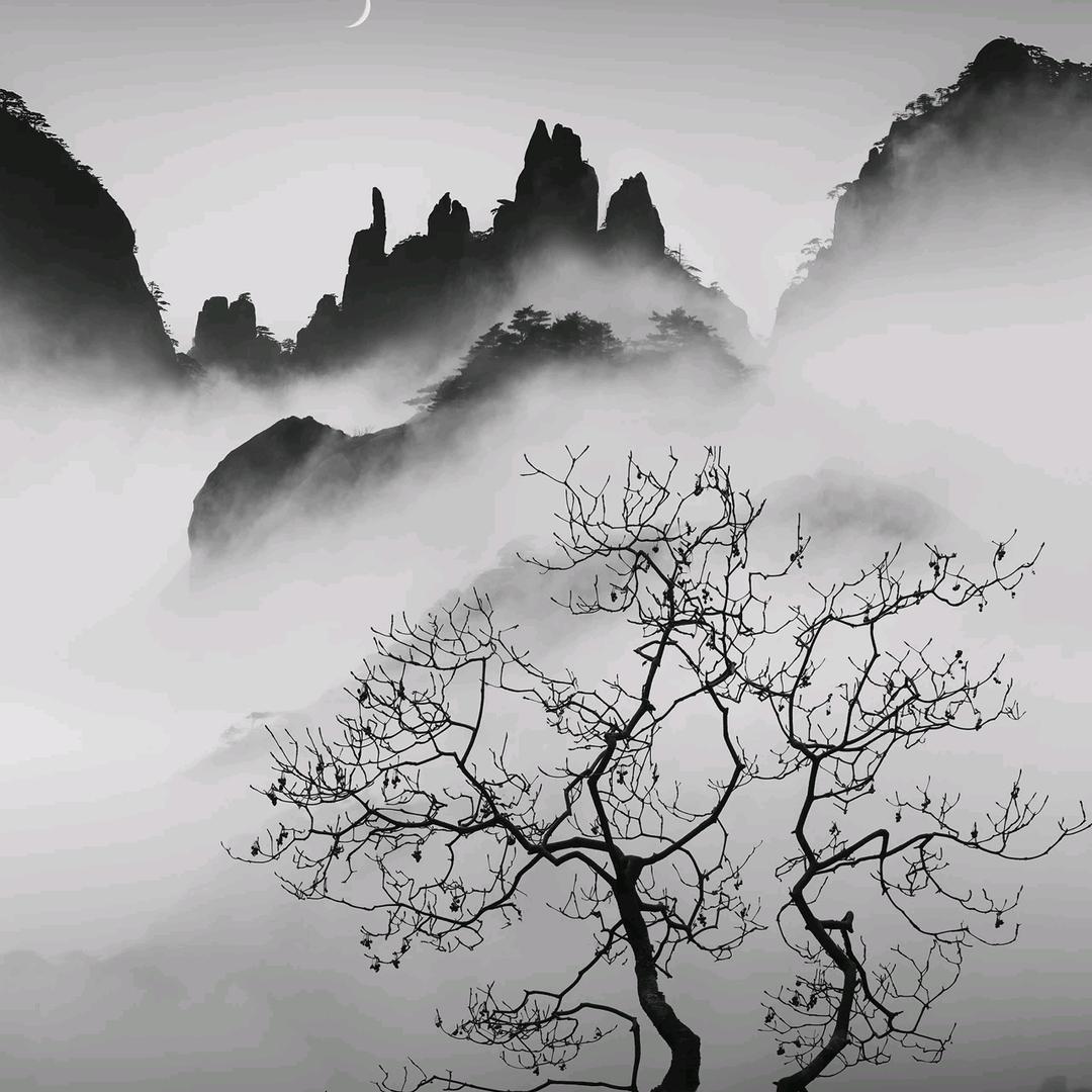 画画的小罗