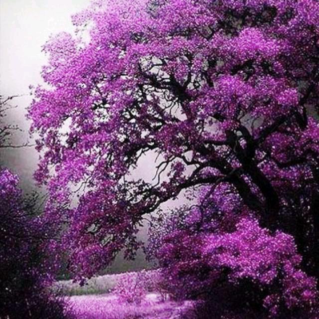 快乐✧٩(ˊωˋ*)و✧的幸福@，