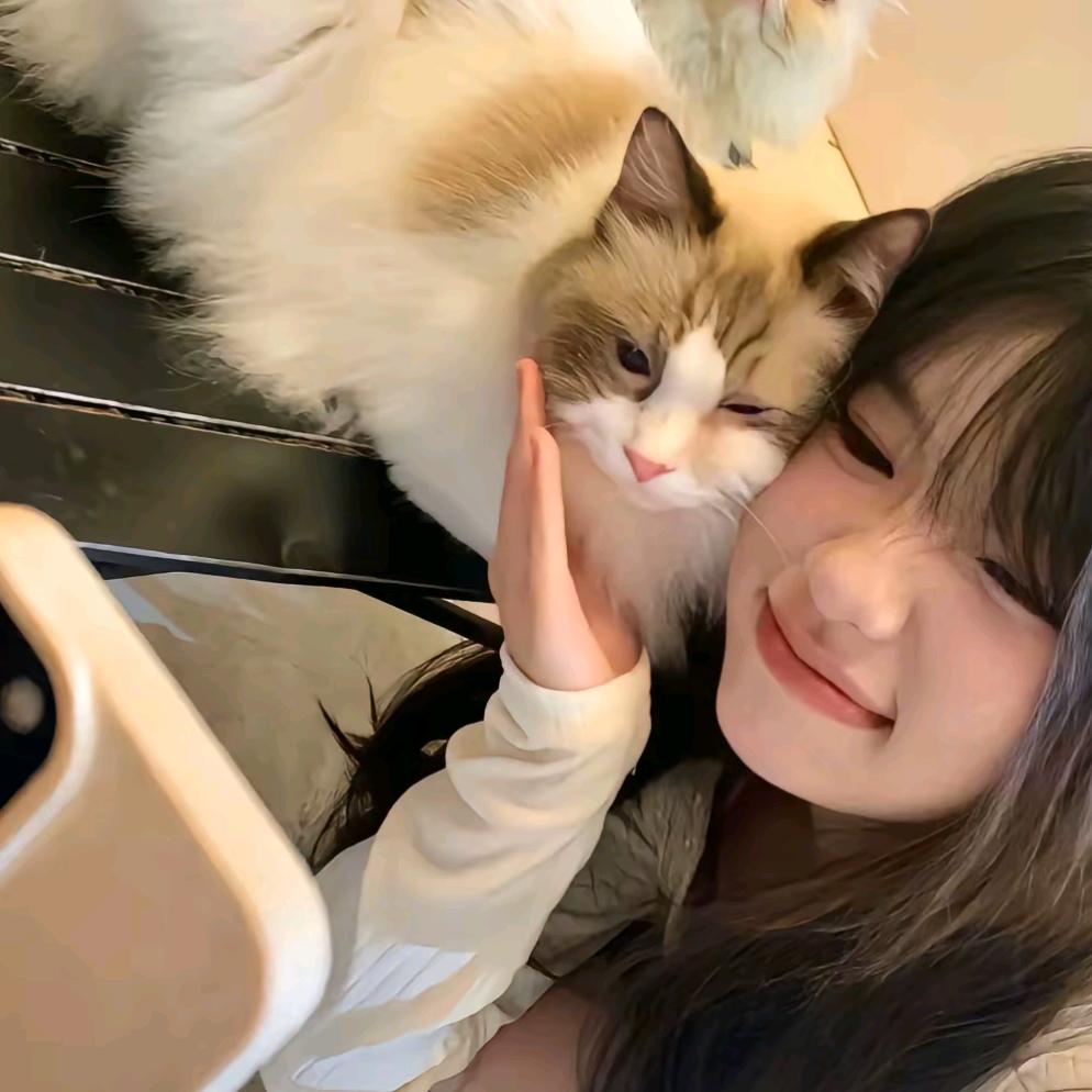 香菜怪🌿