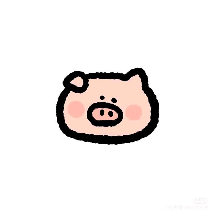芝士猪