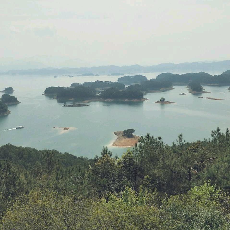 专业水电暖，刘姐（首播筹备）