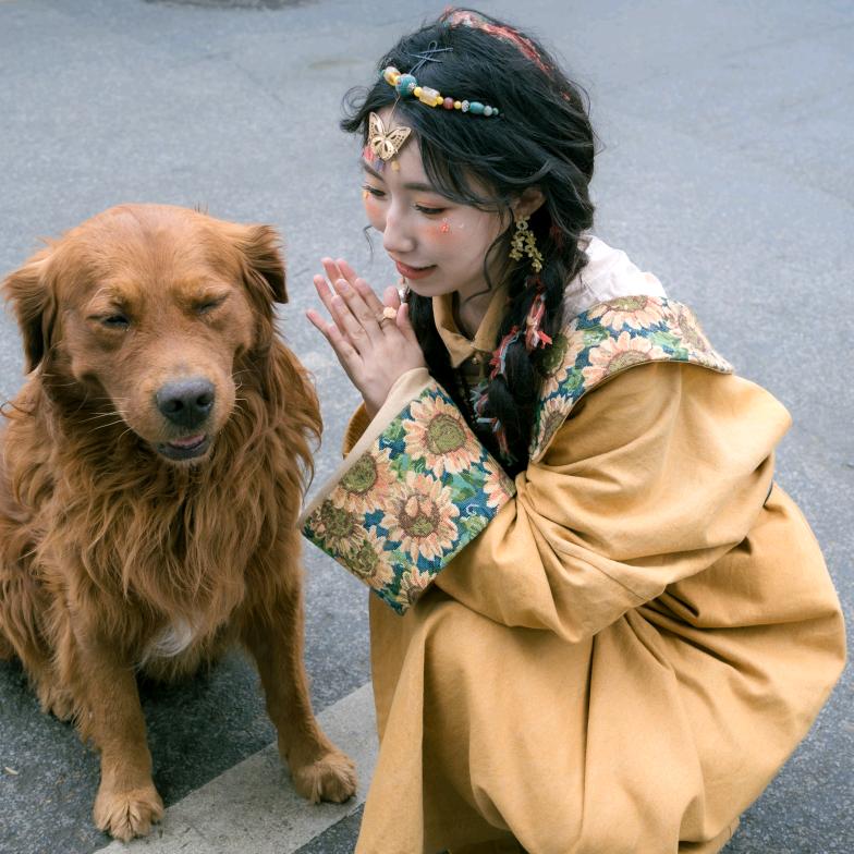 建设西部的小兔