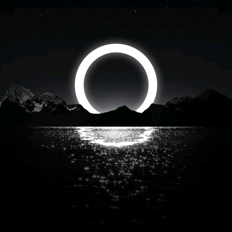 绽放的马兰花开